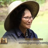 คุณนิตยา-เทียนทอง